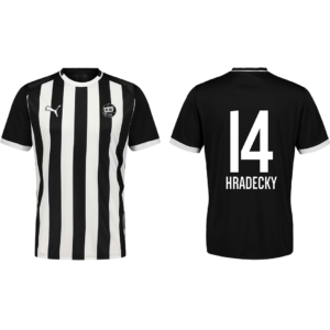 FANIPAITA TPS LOGOLLA NIMELLÄ ja NUMEROLLA