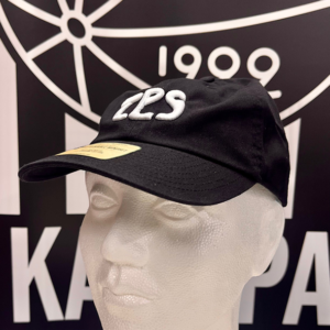 Lippis DAD HAT-S 3D logolla